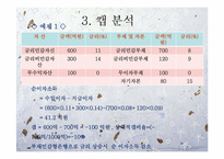 [위험관리론] ALM(asset liability management)개론과 기법 및 전략-19