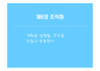 [경영학원론] 조직화-1