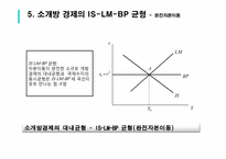 [거시경제론] 변동환율제도를 채택하는 소규모 개방거시경제의 IS-LM-BP 및 AD 곡선 도출-15