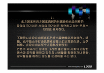 [브릭스지역기초법] 언론의 자유에 대한 고찰-13