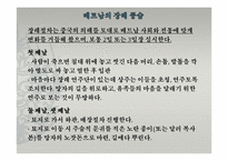베트남의 가족 생활 문화-18