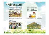[농업농촌사회학] 함평 나비 대축제-7