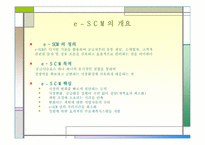 [전자상거래] 기업간 전자상거래 B2B(Business to Business)-15