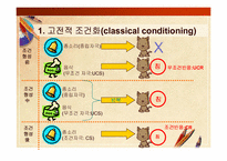 [교육공학] 교육공학의 심리학적 기초(행동주의 학습이론과 교수설계)-8
