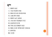 [IT산업] 애플의 성공에 따른 국내 IT업계의 영향 PPT자료-2