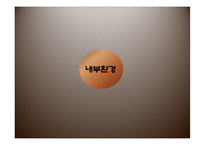 [관광전략] Seven Luck 카지노 전략제안-15