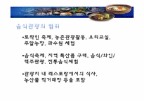 [관광학원론] 국내 음식관광의 활성화 방안-5