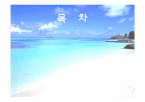 [환경영향평가론] 사전환경성 검토(외천삼거리부터 척북삼거리간 확,포장공사)-2