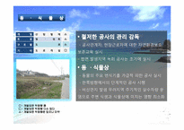 [환경영향평가론] 사전환경성 검토(외천삼거리부터 척북삼거리간 확,포장공사)-15