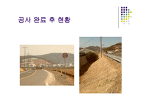 [환경영향평가론] 사전환경성 검토(청양 군량도로사업에 대한 평가)-19