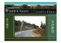 [환경영향평가론] 사전환경성 검토(내수면연구소 진입도로 확·포장 공사)-14