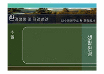 [환경영향평가론] 사전환경성 검토(내수면연구소 진입도로 확·포장 공사)-16
