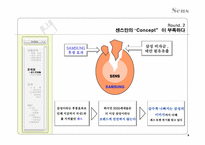 센스만의 프리미엄 이미지를 심어주기 위한 커뮤니케이션 기획안-9