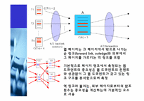 구글(google)의 검색기술과 서비스분석및 한계점과 미래-14