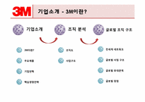 글로벌조직-3M 레포트-2