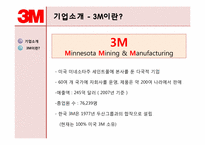 글로벌조직-3M 레포트-3