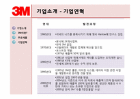 글로벌조직-3M 레포트-6