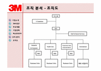 글로벌조직-3M 레포트-8