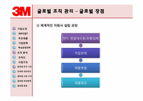 글로벌조직-3M 레포트-19