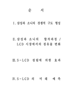 [현대기업의이해] S-LCD-2