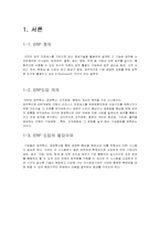 [디지털경영] KORAIL(코레일)의 ERP 도입에 관한 고찰-2