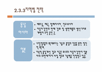 [다국적기업론] 포스코 자동차강판 사업의 글로벌 전략-18