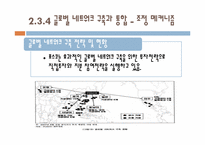 [다국적기업론] 포스코 자동차강판 사업의 글로벌 전략-19