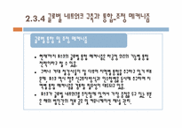 [다국적기업론] 포스코 자동차강판 사업의 글로벌 전략-20