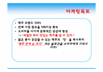 [광고론] 보리맥주 MAX(맥스) 광고계획서-3
