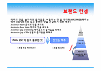 [광고론] 보리맥주 MAX(맥스) 광고계획서-4