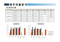 [재무관리] 신영 와코루와 남영 비비안의 재무분석-12
