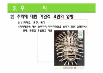 [소비자행동론] 소비자정보 처리 과정-20
