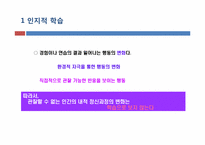 [소비자행동론] 인지적 학습과 행동주의적 접근-2