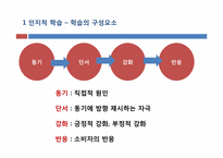 [소비자행동론] 인지적 학습과 행동주의적 접근-5