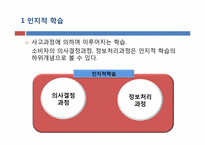 [소비자행동론] 인지적 학습과 행동주의적 접근-6