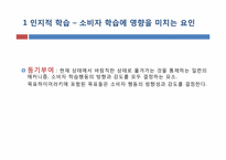 [소비자행동론] 인지적 학습과 행동주의적 접근-9