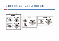 [소비자행동론] 인지적 학습과 행동주의적 접근-19