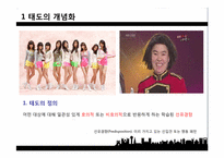 [소비자행동론] 태도의 형성과 변화-3