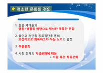 [기독교와문화] 아이돌이 청소년에게 미치는 영향(팬덤문화를 중심으로)-4