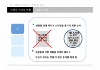 [소비문화론] 여성소비자에 관한 고찰-9