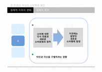 [소비문화론] 여성소비자에 관한 고찰-10