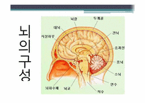 [심리학의이해] 뇌와 마음의 상관관계-4