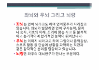 [심리학의이해] 뇌와 마음의 상관관계-5