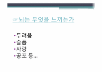 [심리학의이해] 뇌와 마음의 상관관계-8