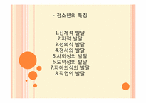 [사회복지학개론] 청소년 복지-4