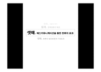 [매스커뮤니케이션의이해] 매스커뮤니케이션이 한류열풍에 미친 영향과 효과에 대한 연구-20