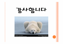[환경과삶] 생물다양성에 대한 기후변화의 압력-13