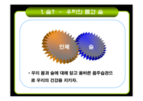 [현대인과영양] 우리몸과 술-3