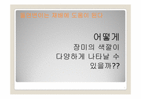 [생물학] 유전자와 돌연변이-7