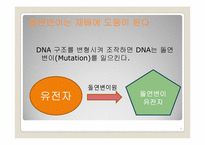 [생물학] 유전자와 돌연변이-8
